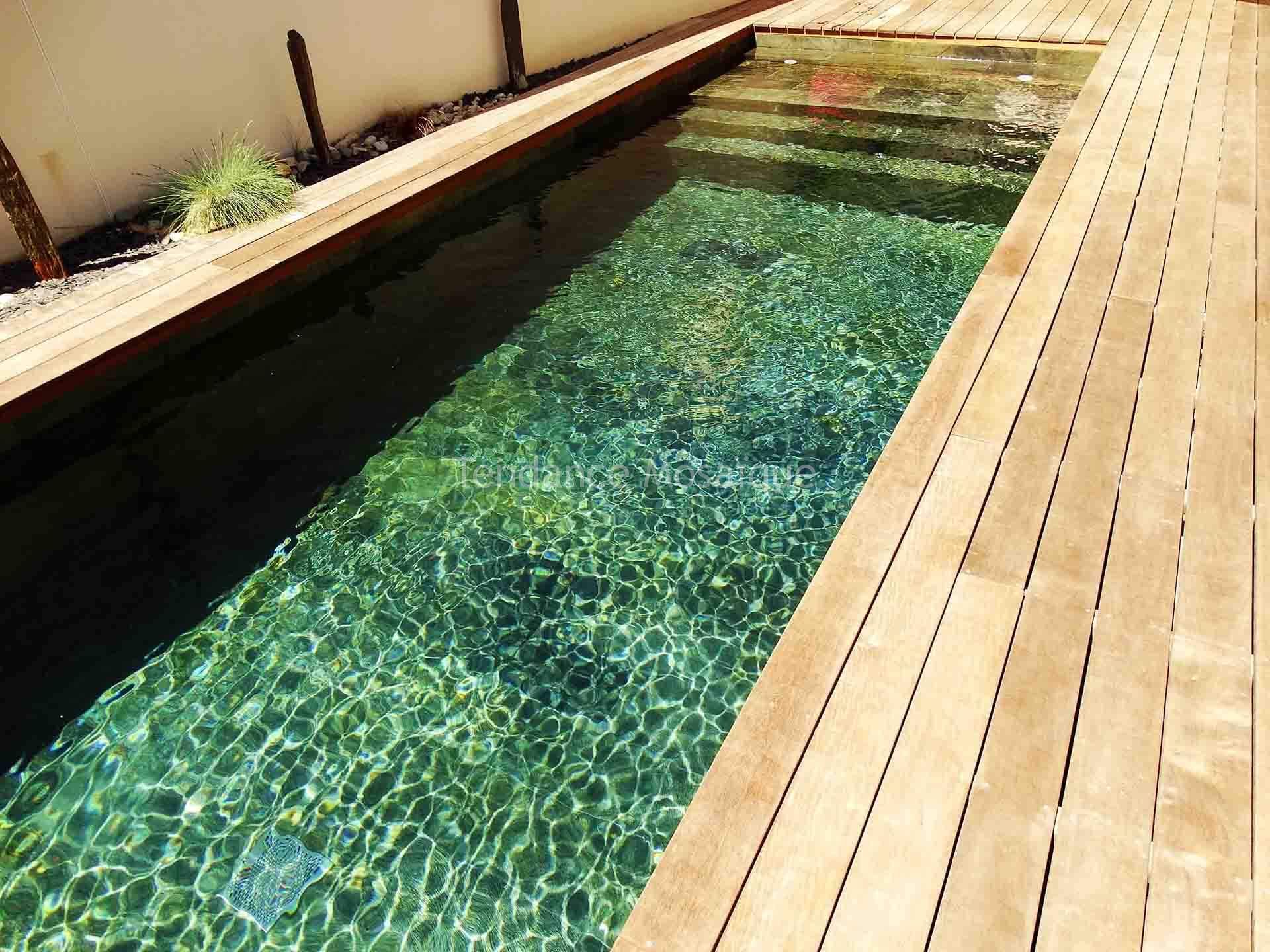 Ardoise pour piscine, autour et dans le bassin, en massif ou en feuilles de  pierre.